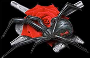 The Airbrush Rose