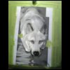 mikel_wolf_bike012.jpg