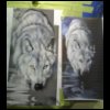 mikel_wolf_bike018.jpg