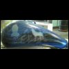 mikel_wolf_bike046.jpg