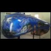 mikel_wolf_bike056.jpg