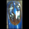 mikel_wolf_bike061.jpg