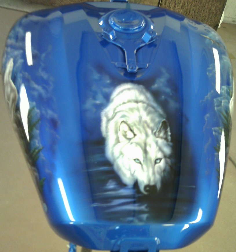 mikel_wolf_bike090.jpg